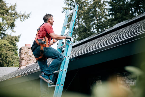 Best Chimney Flashing Repair  in Waialua, HI